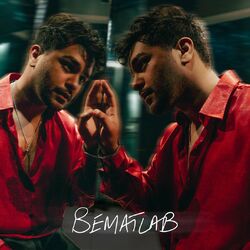 Cover of BEMATLAB