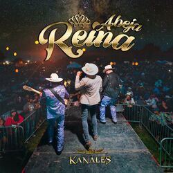 Cover of Abeja Reina