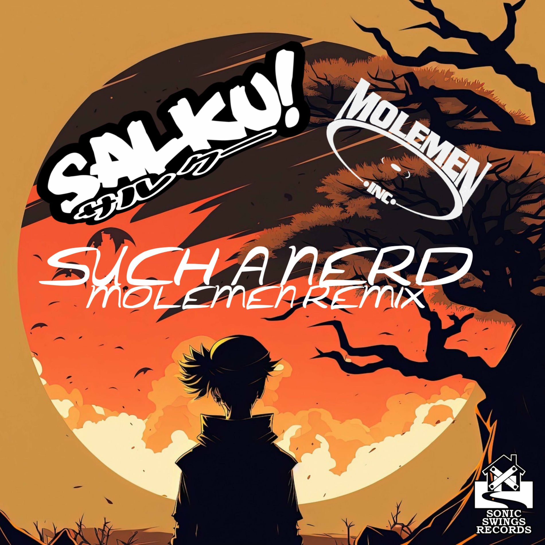 Album cover of Such a Nerd 1.5 (feat. Panik) [Molemen Remix]