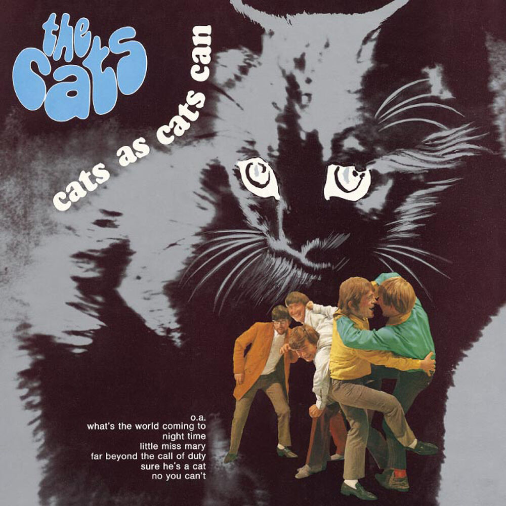 Picture of Cats As Cats Can