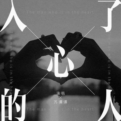 入了心的人 (DJ大金版)