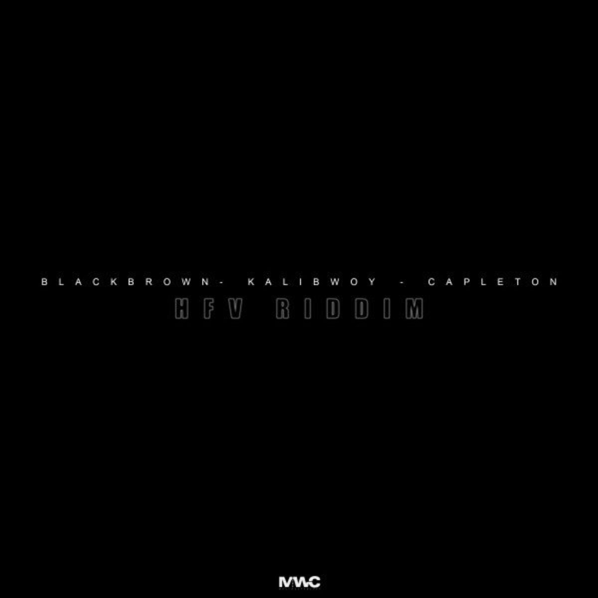 Album cover of HFV Riddim