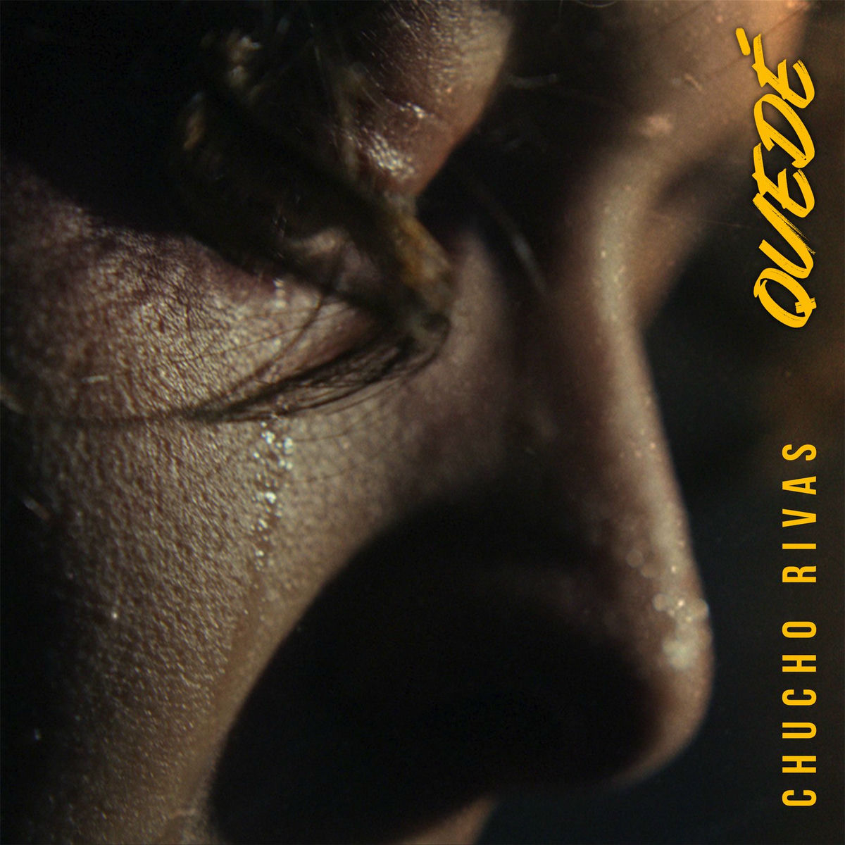 Album cover of Quedé