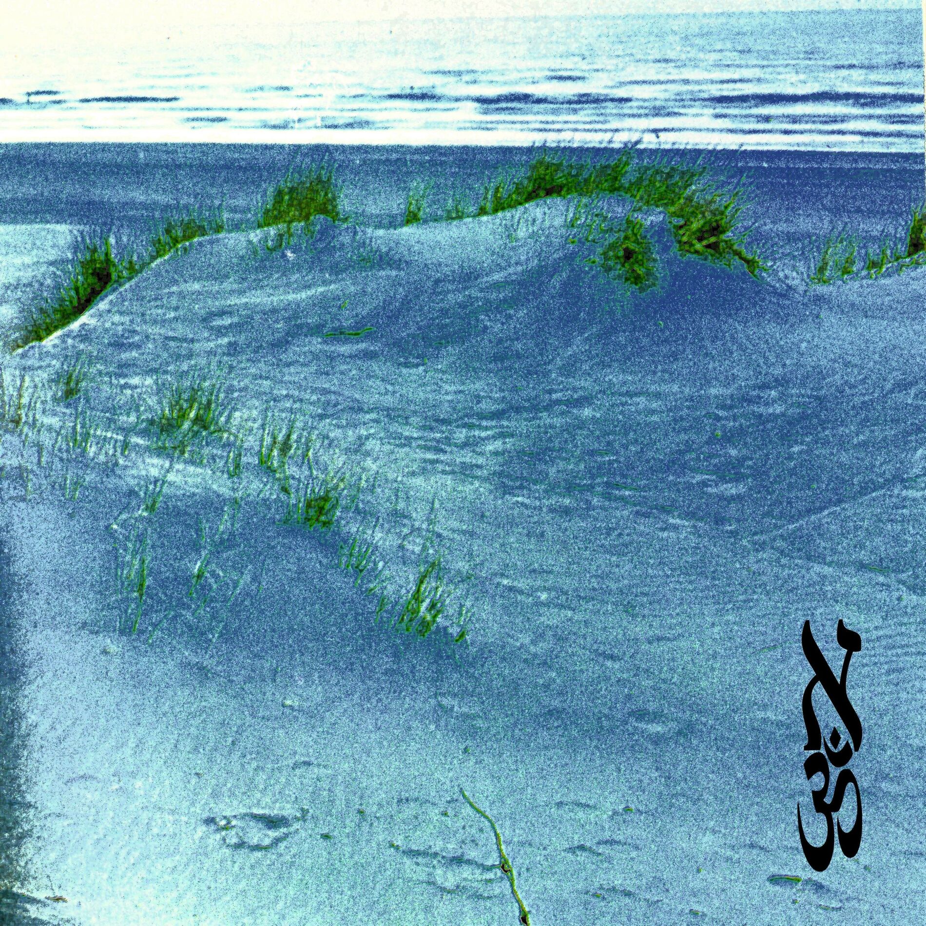 Album cover of Grass Waves