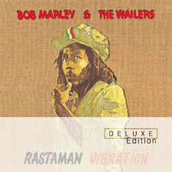 Cover of Rastaman Vibration