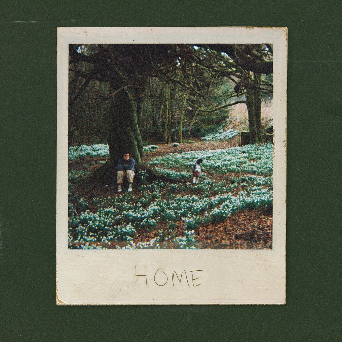 Album cover of Home