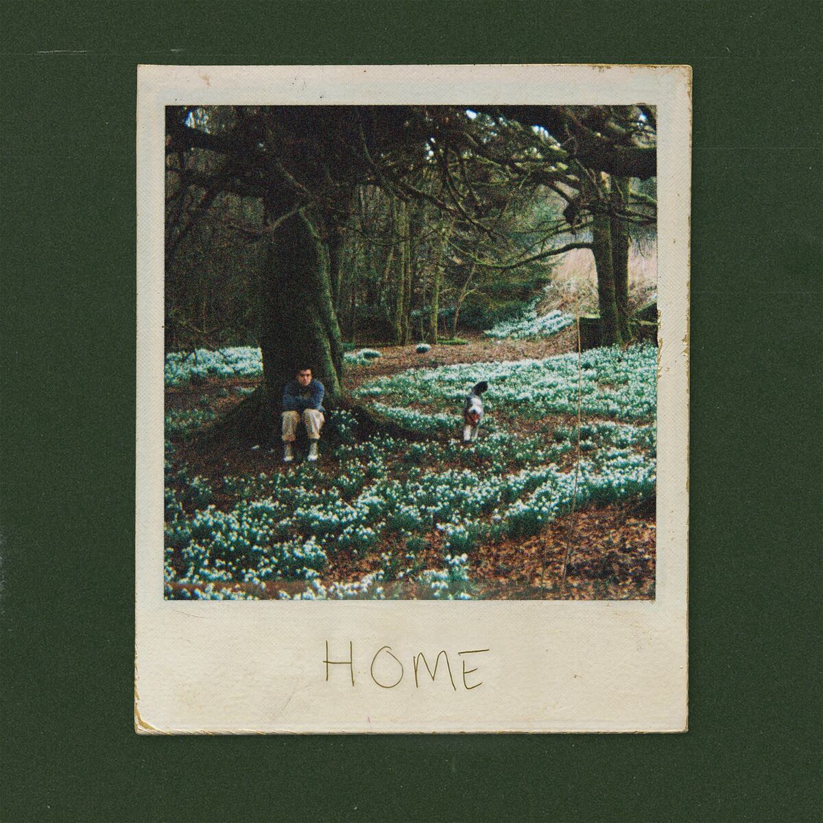 Album cover of Home