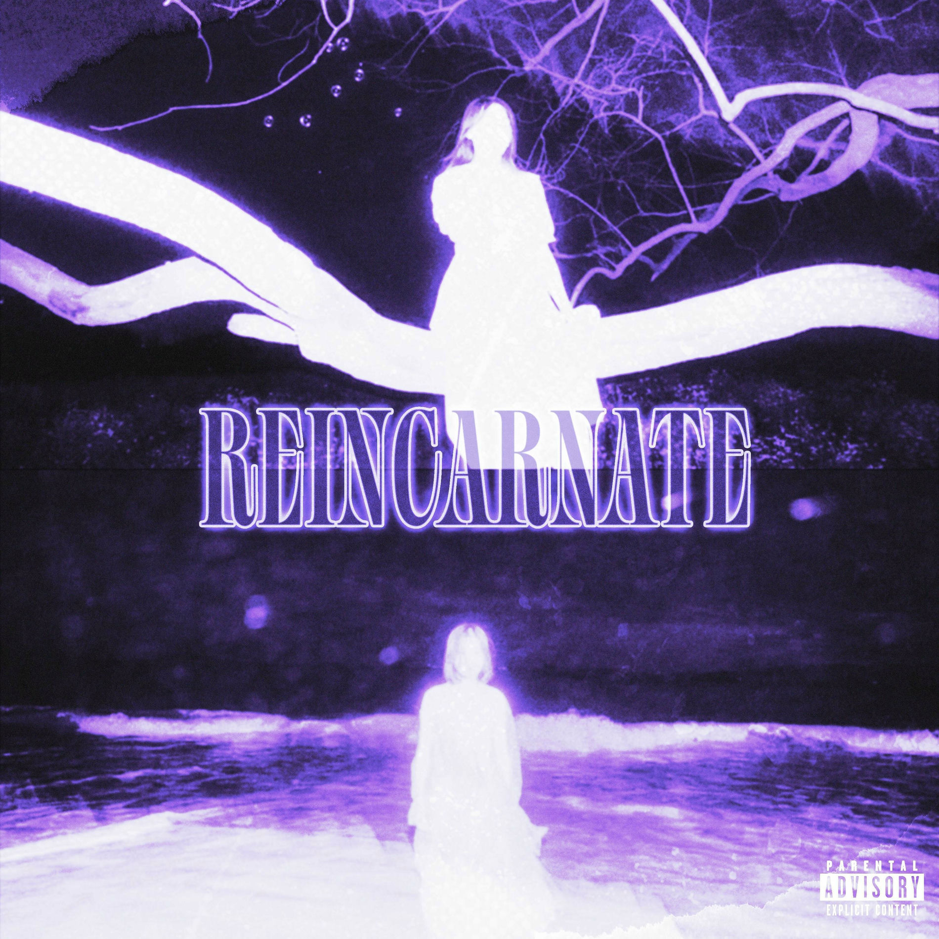 Album cover of REINCARNATE