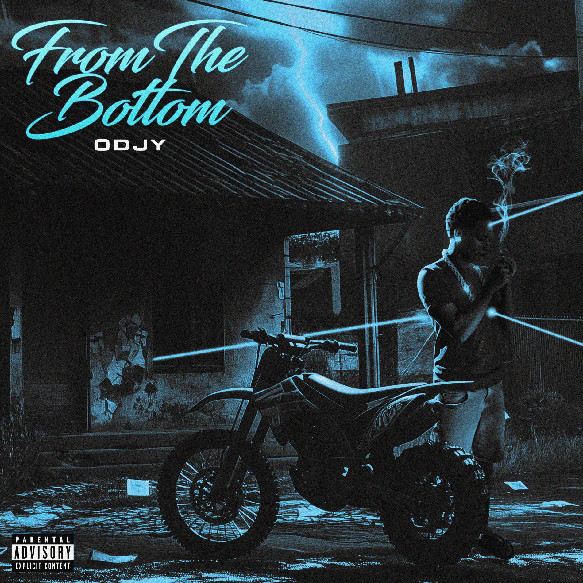 Album cover of From The Bottom