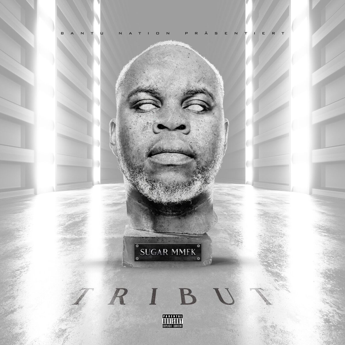 Album cover of Veyron