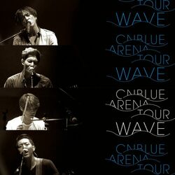 Cover of Live-2014 Arena Tour -WAVE-