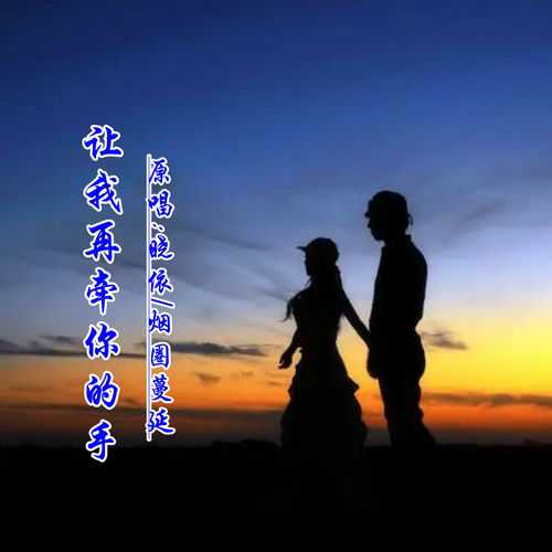 让我再牵你的手 (DJ对唱版)