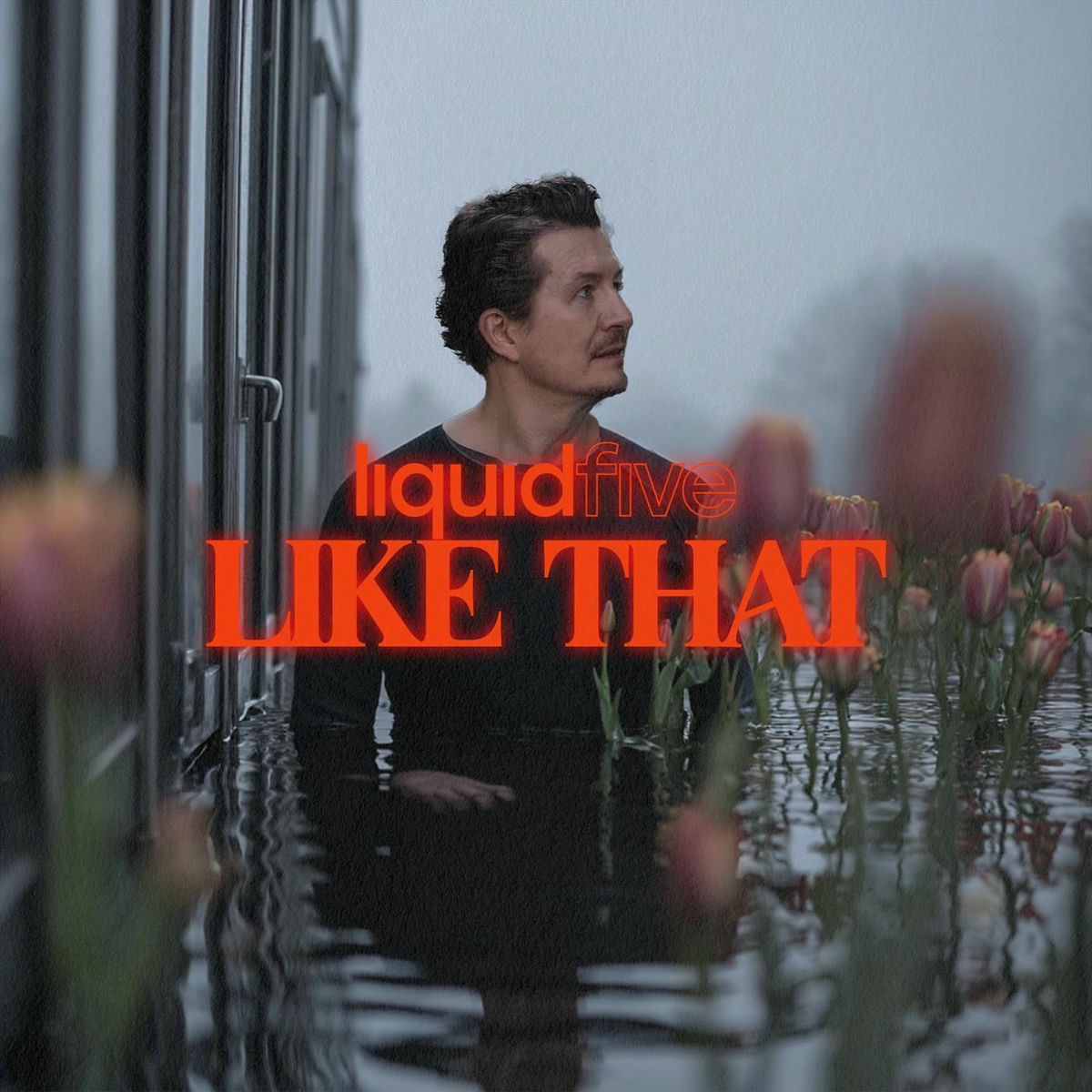 Album cover of Like That