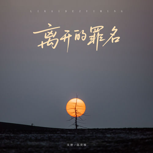 离开的罪名