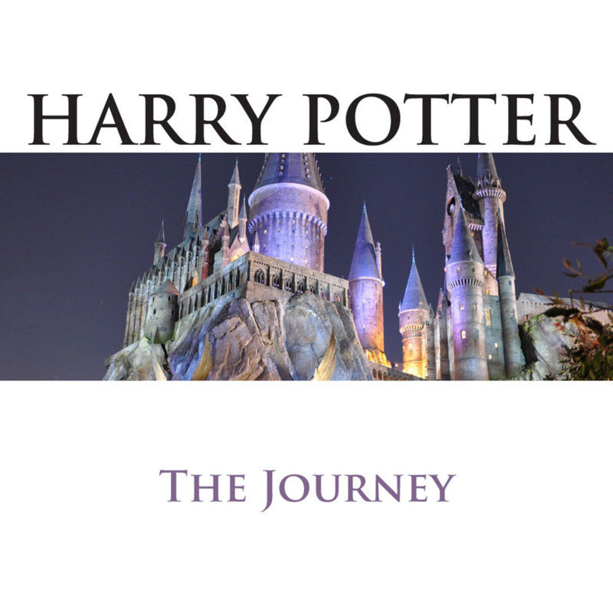 Album cover of Harry Potter: The Journey
