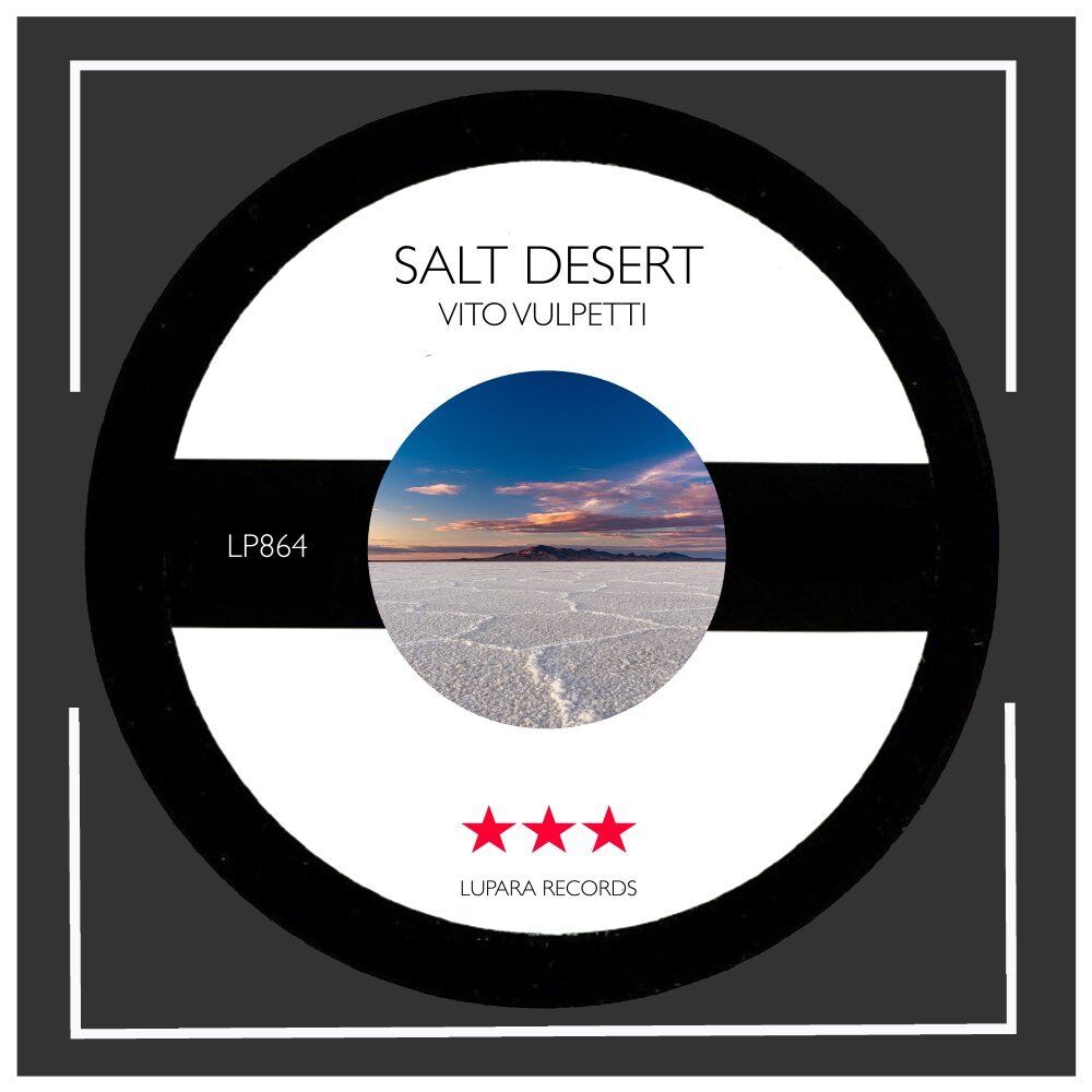 Picture of Salt Desert