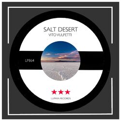 Cover of Salt Desert