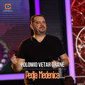 Polomio vetar grane