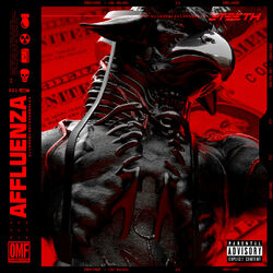 Cover of AFFLUENZA