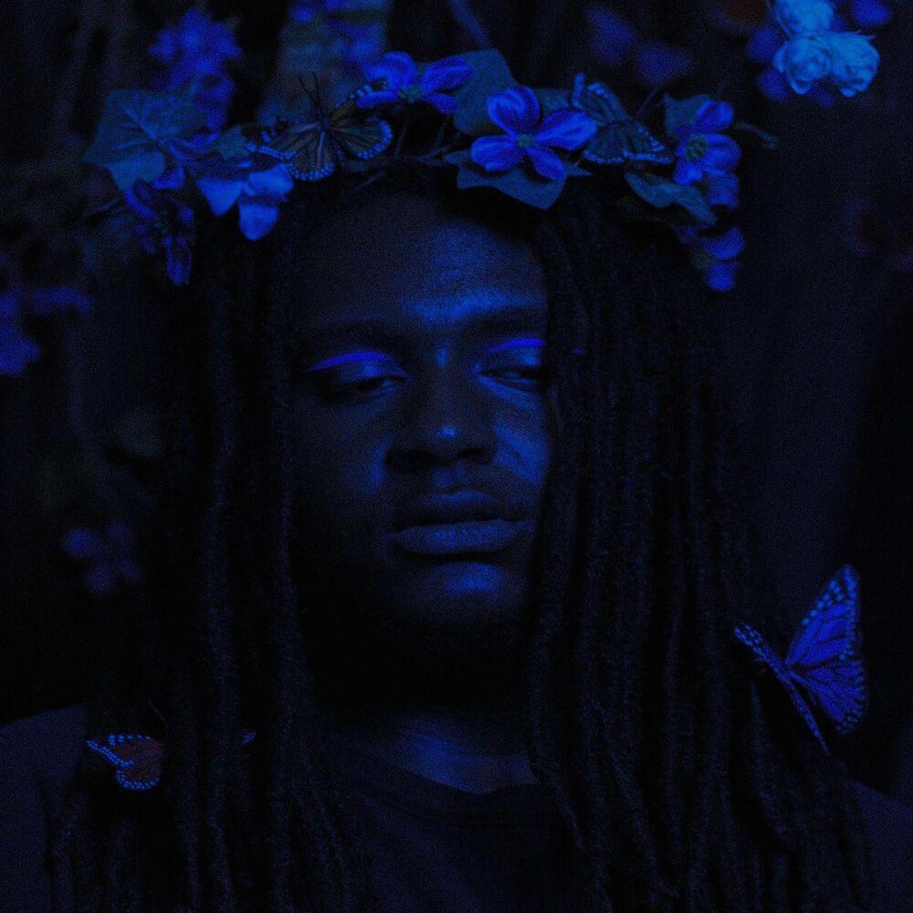 Picture of BUTTERFLIES: PHASE 1