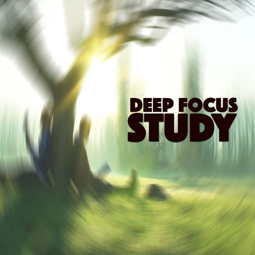 Deep Focus Study