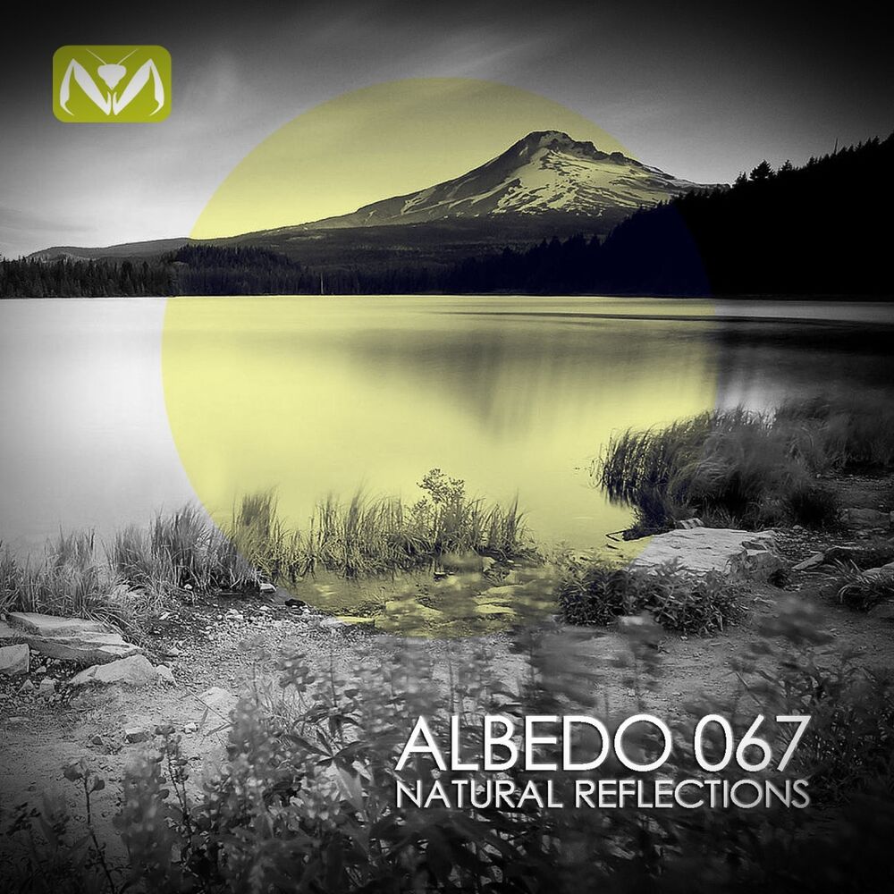 Picture of Natural Reflections