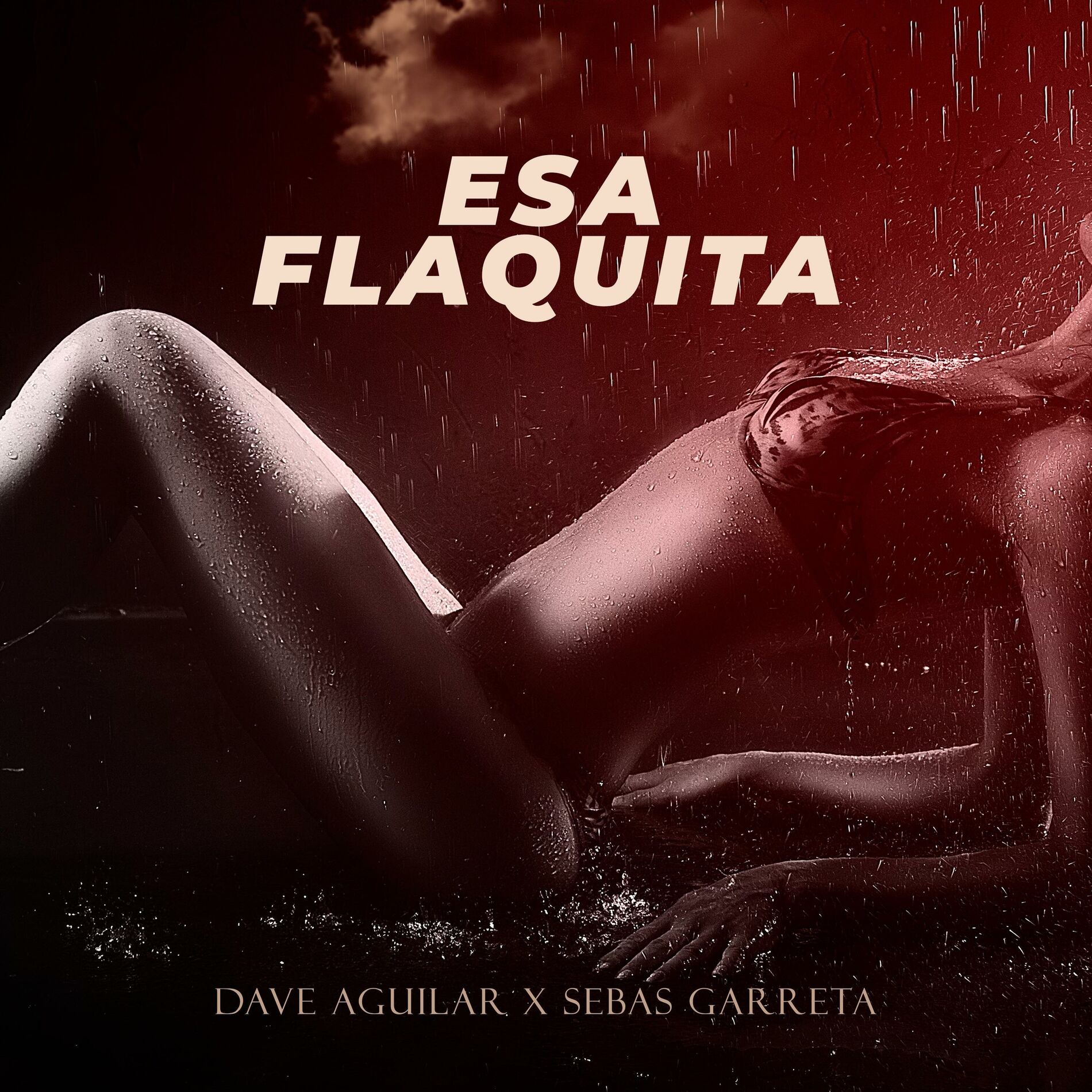 Album cover of Esa Flaquita