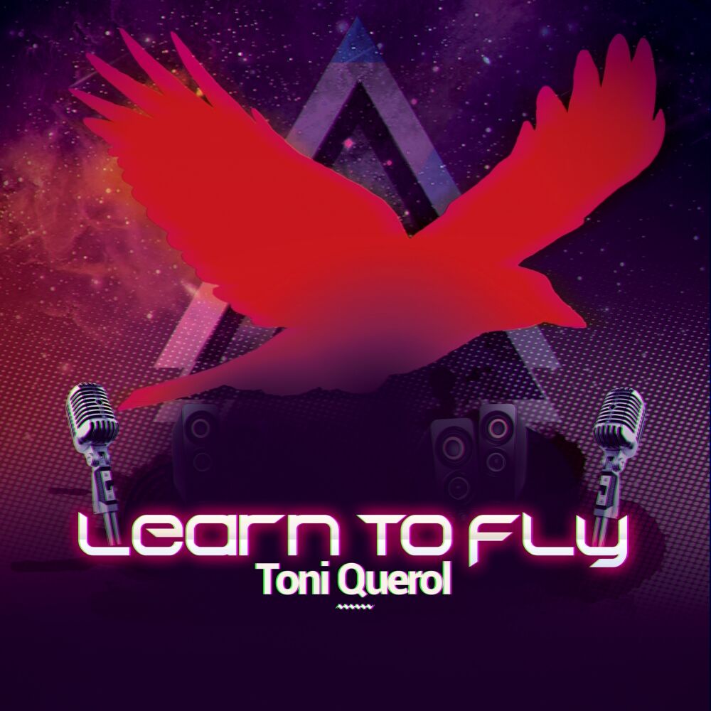 Picture of Learn To Fly