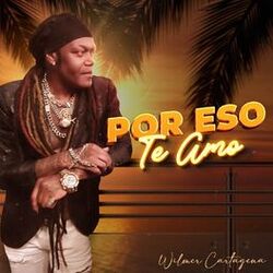 Cover of Por Eso Te Amo