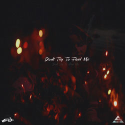 Cover of Don't Try To Find Me by undefined