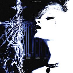 Cover of Silver Skyes