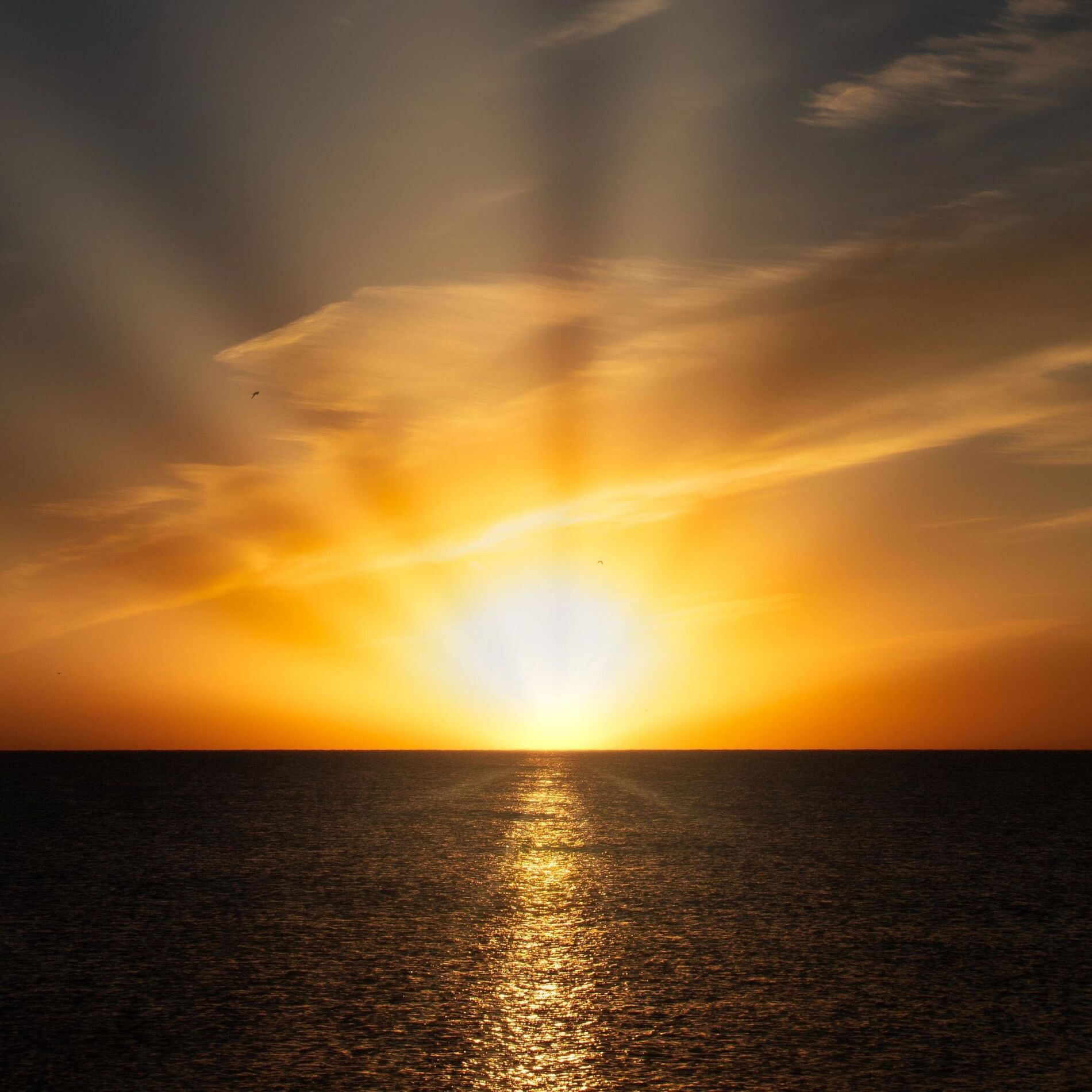 Album cover of Sunrise