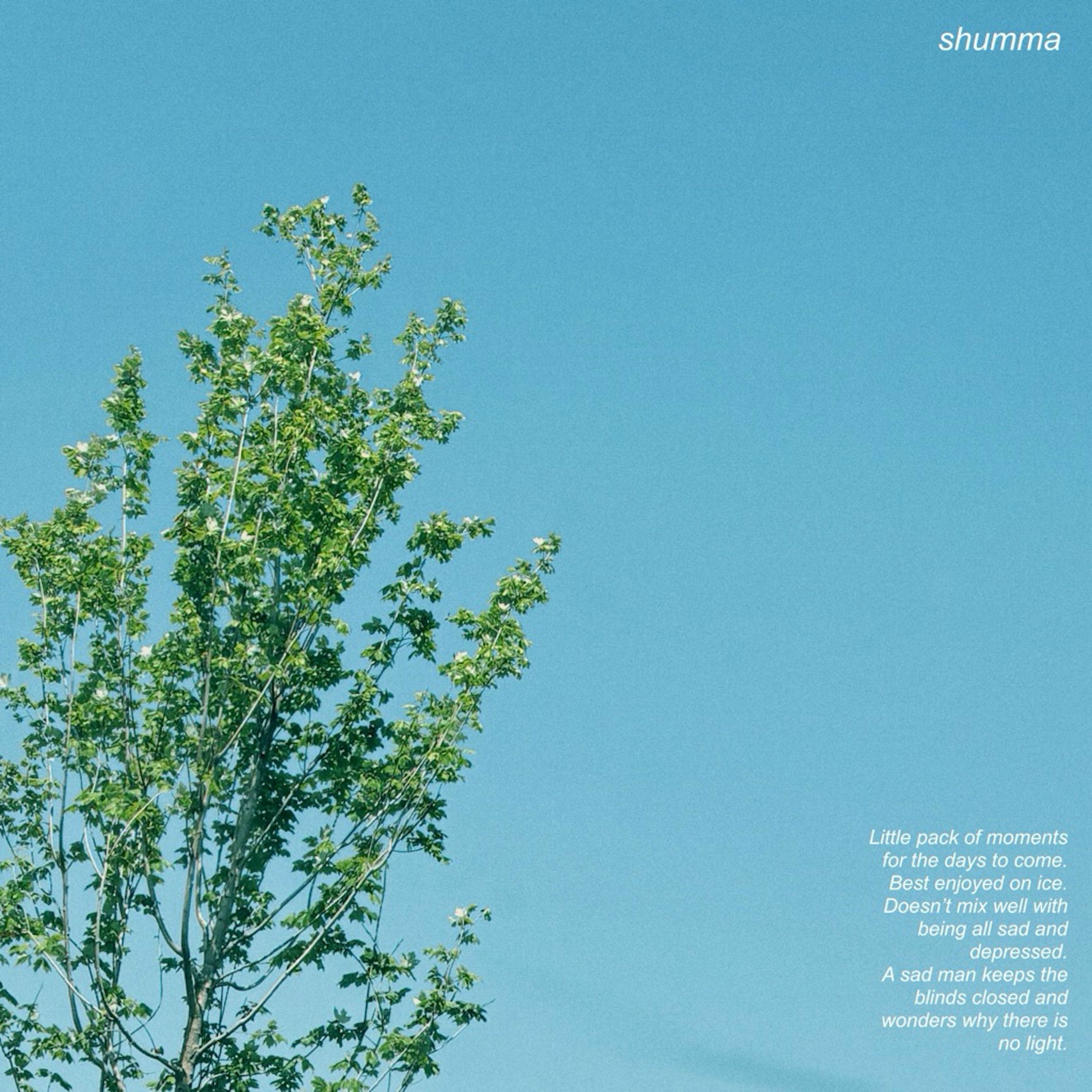 Album cover of shiddamon (feat. ninoprime)