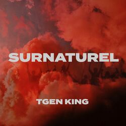 Cover of SURNATUREL