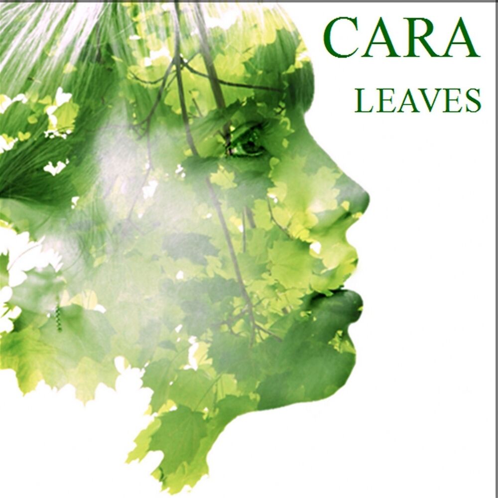 Picture of Leaves