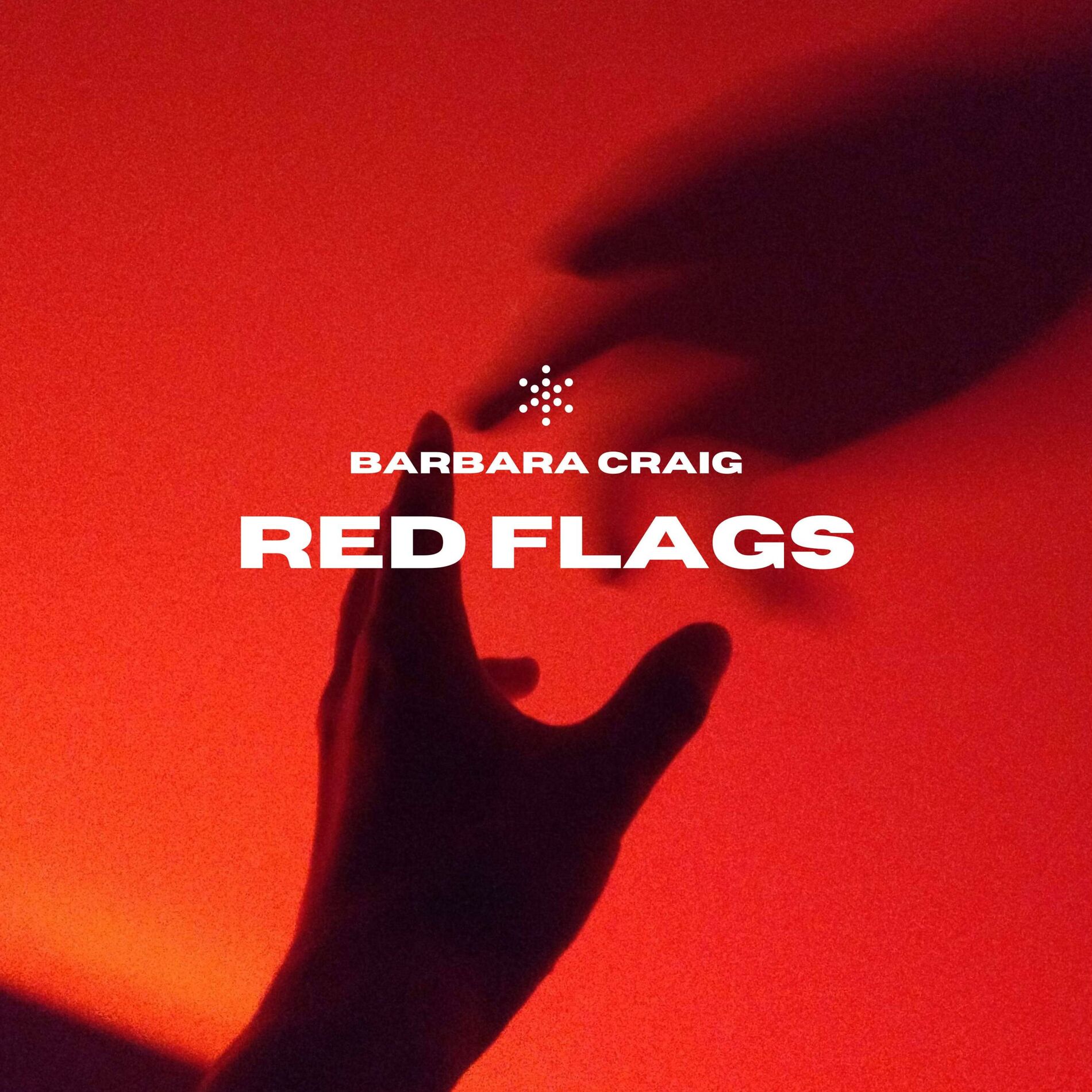 Album cover of Red Flags (Radio Edit)