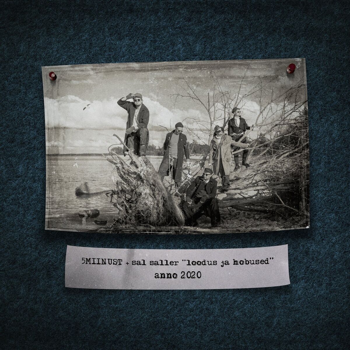 Album cover of loodus ja hobused
