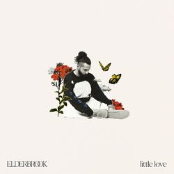 Cover of Little Love