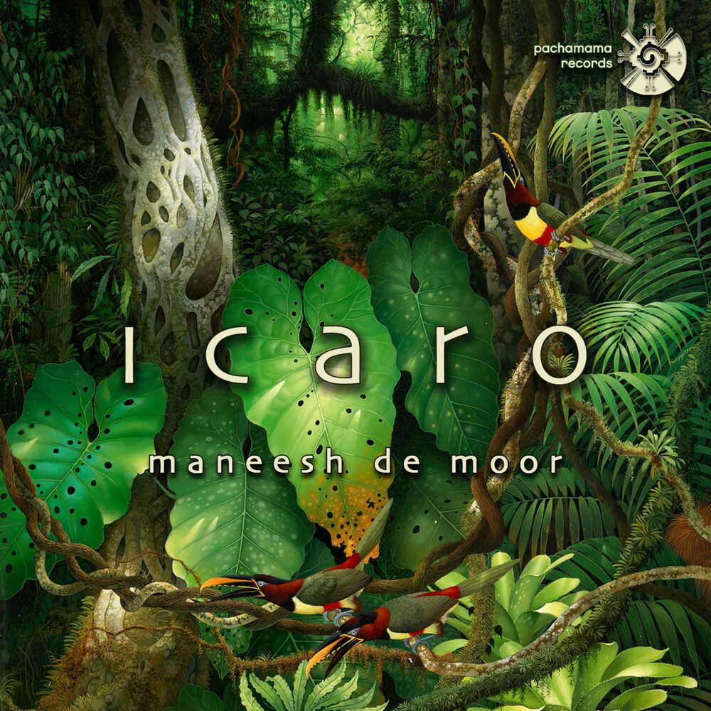Picture of Icaro