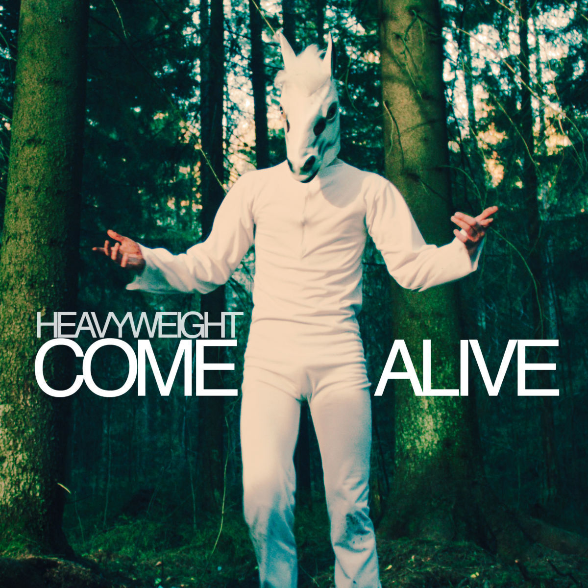 Album cover of Come Alive