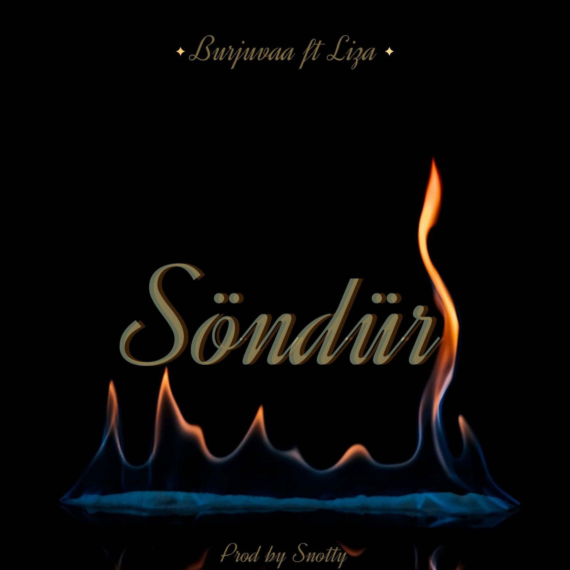 Album cover of Söndür (feat. Liza)