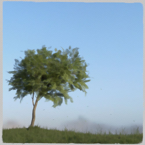 Second Wind