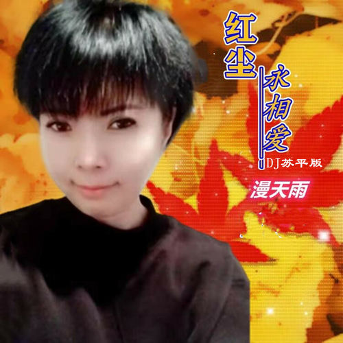 红尘永相爱 (DJ苏平版)