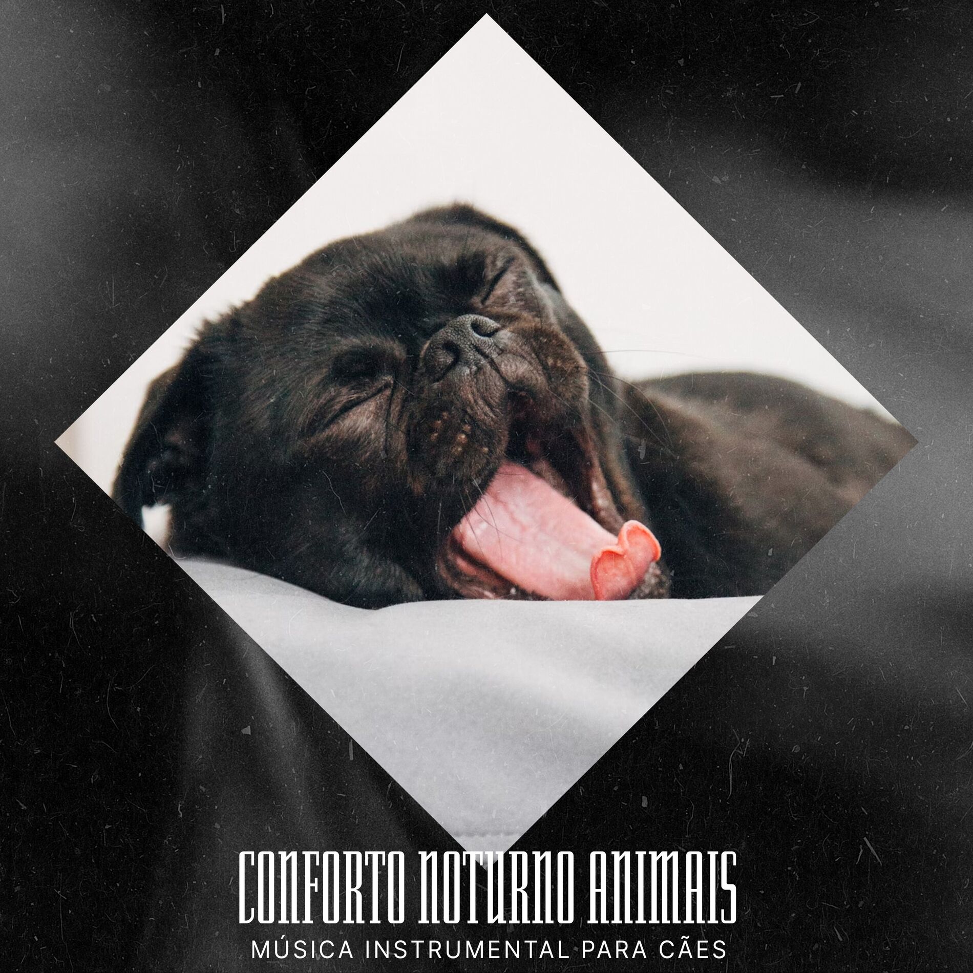 Album cover of Conforto Noturno Animais
