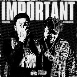 Cover of IMPORTANT