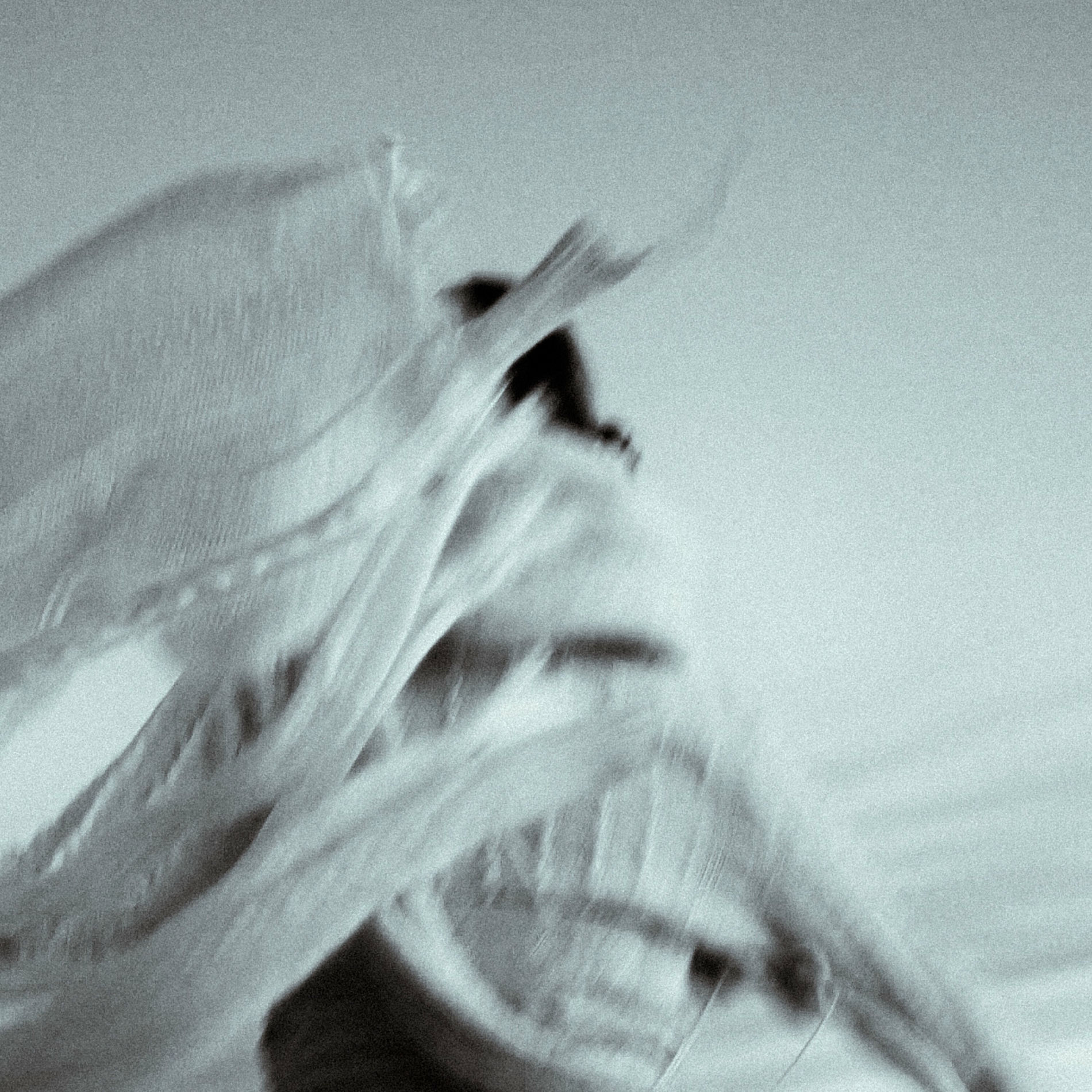 Album cover of Duuuuuu