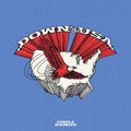 Down in the USA