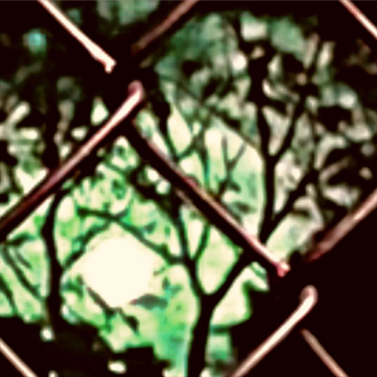 Album cover of wutiwant