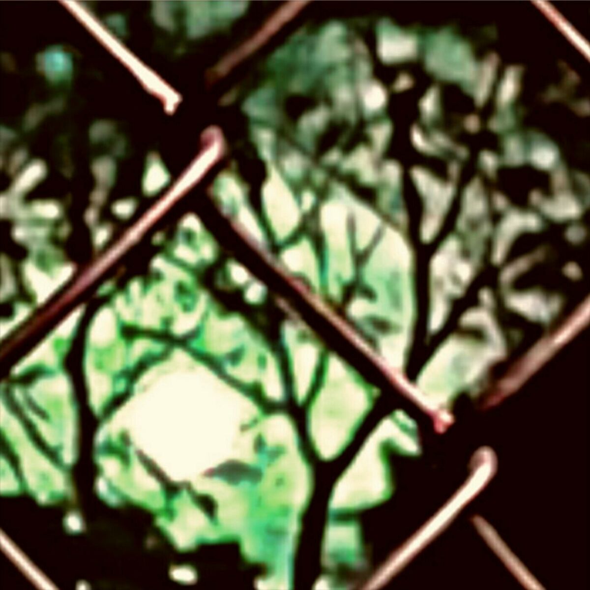 Album cover of wutiwant