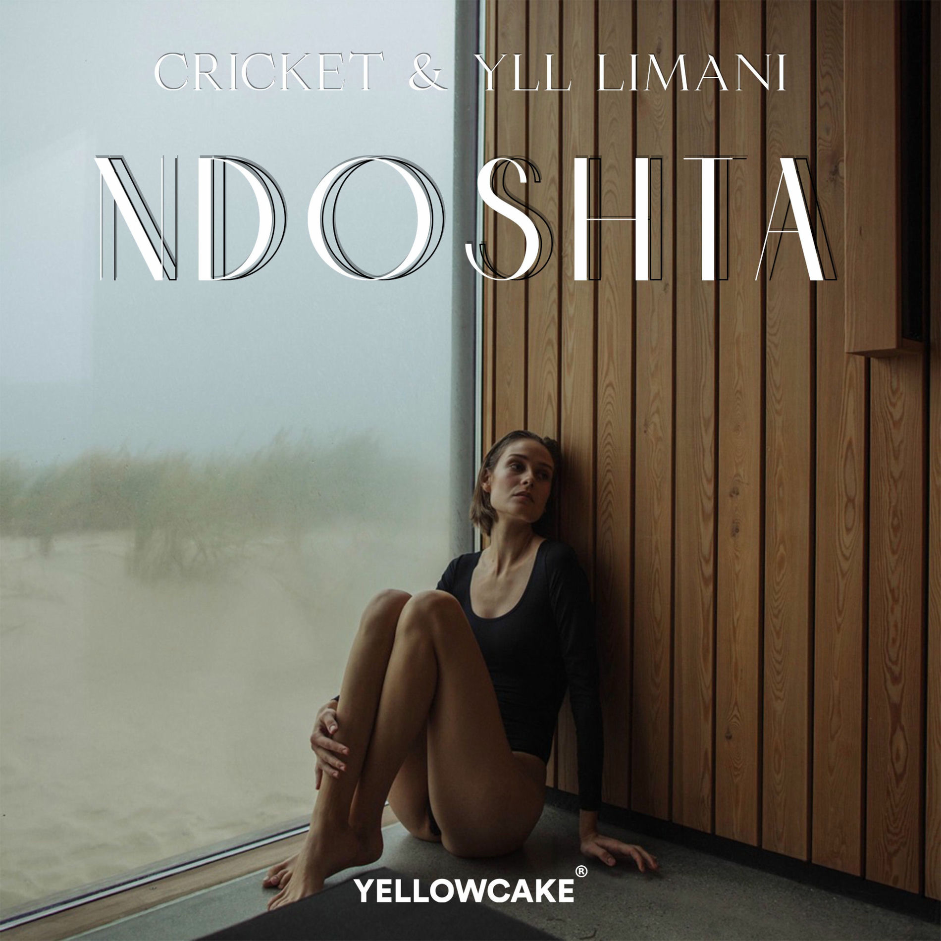 Album cover of Ndoshta